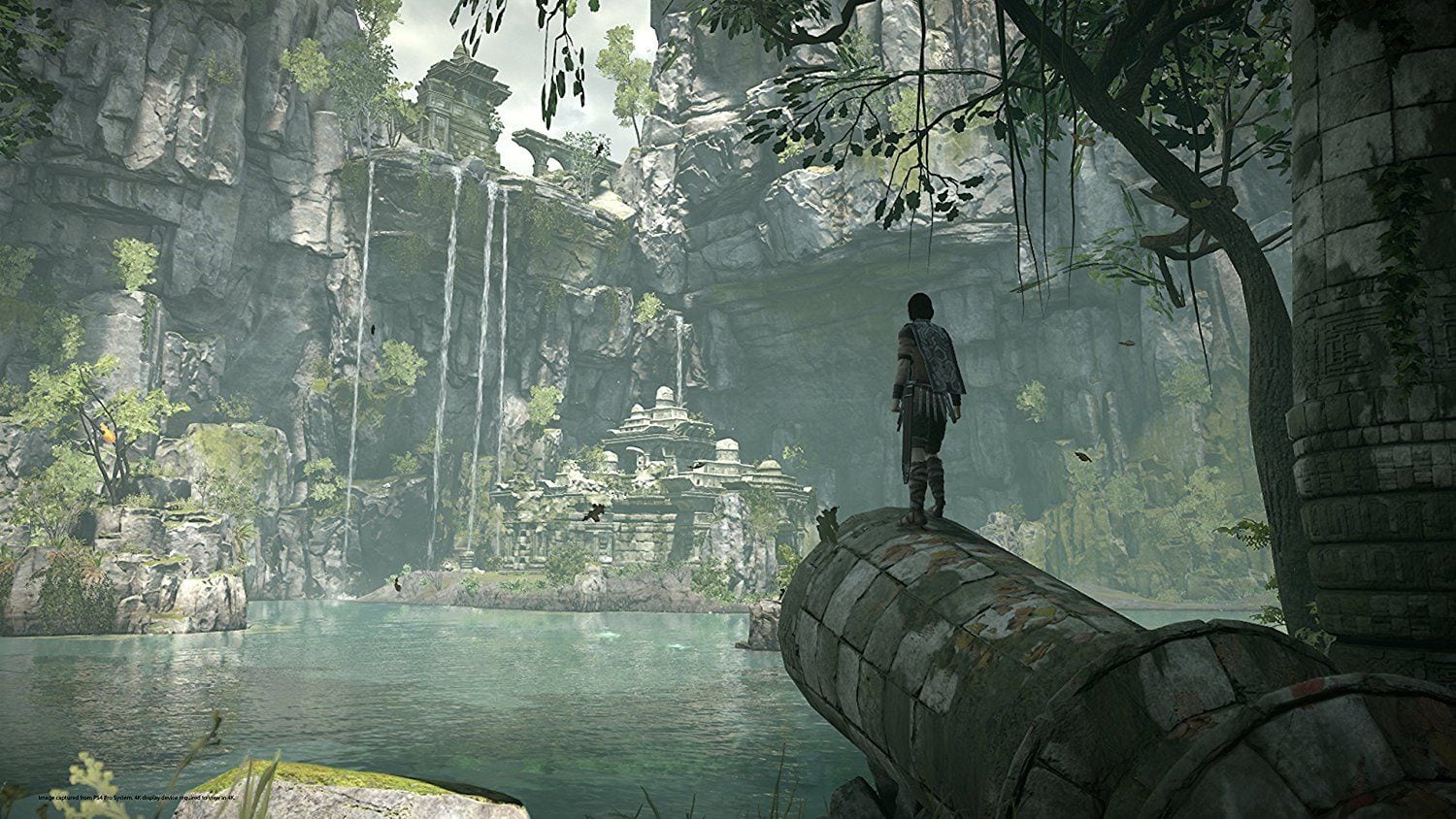 Shadow of the Colossus (2018)