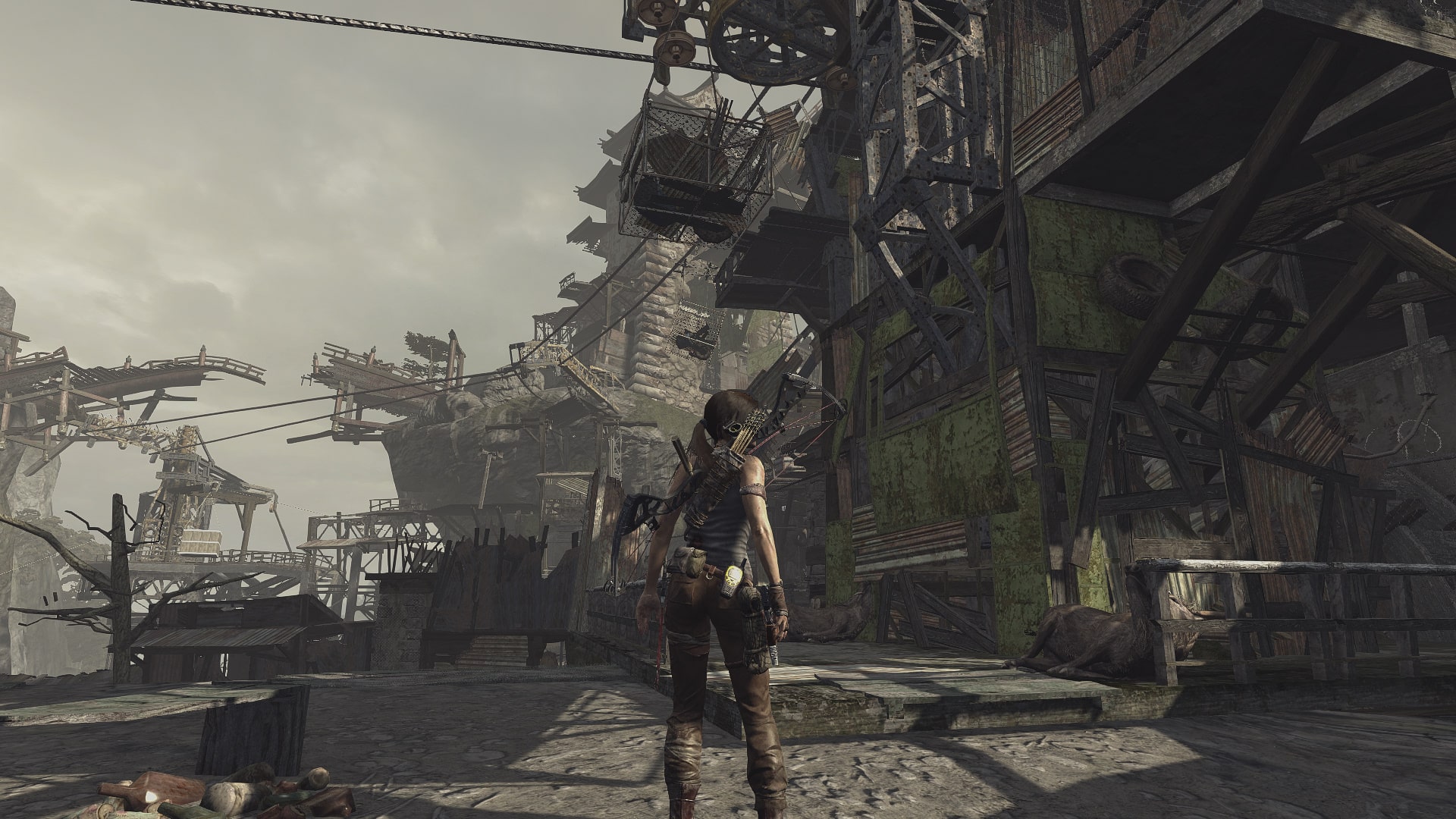 Tomb Raider (2013)