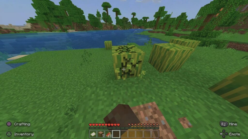 Minecraft