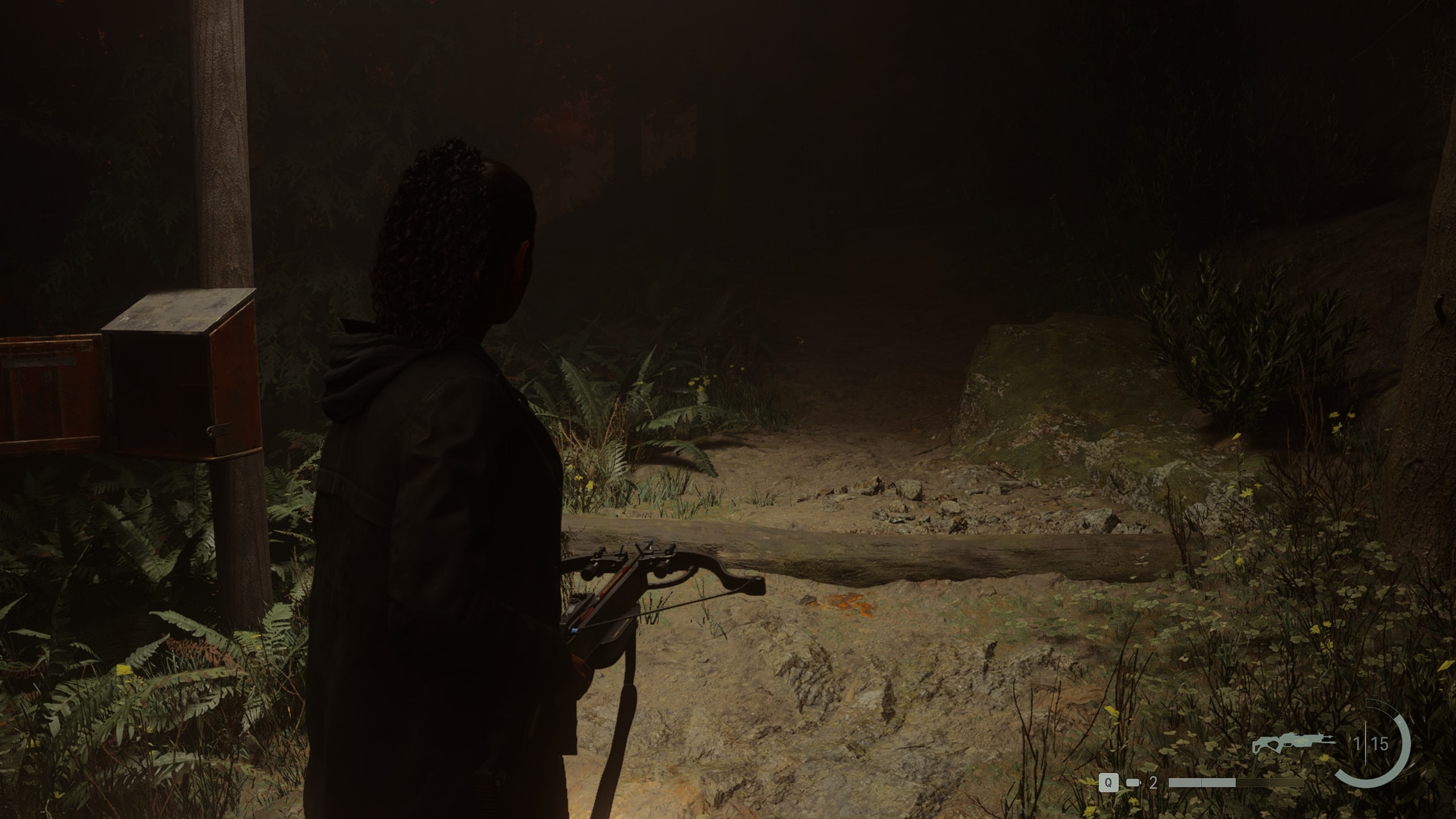 Alan Wake 2